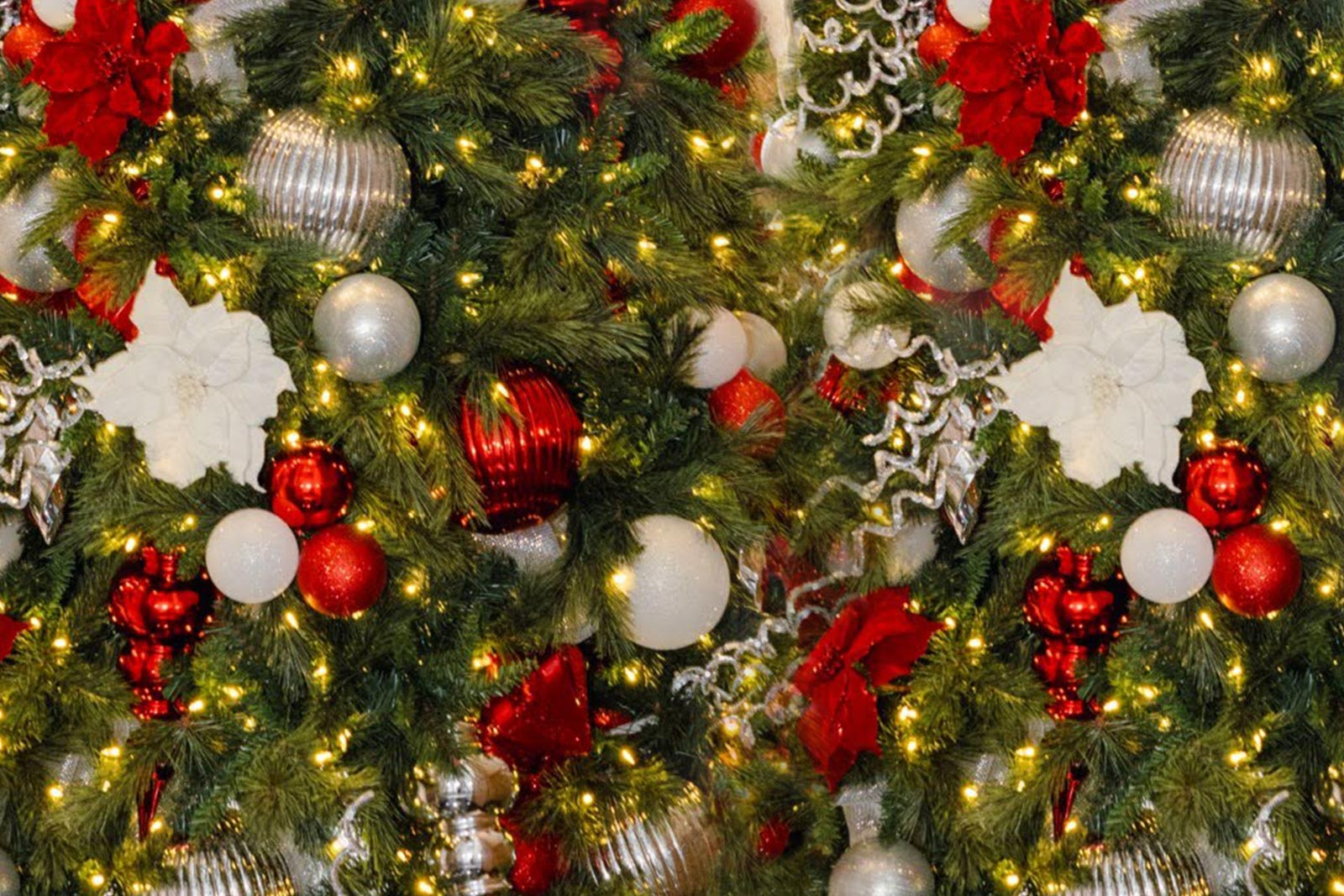 Holidays-As-Service-Calssic-Details