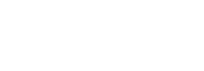 PlanePeddler_White_Logo