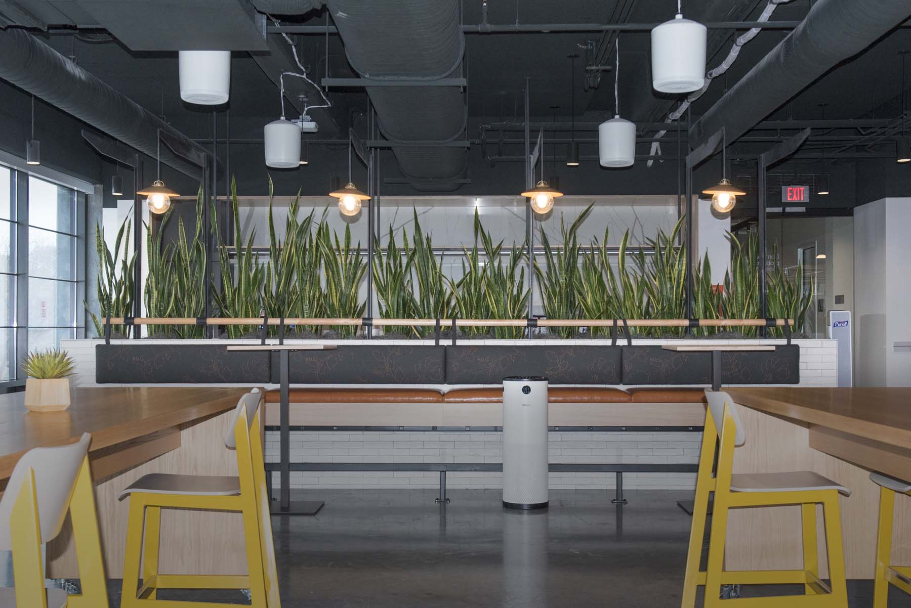 plant_peddler_17