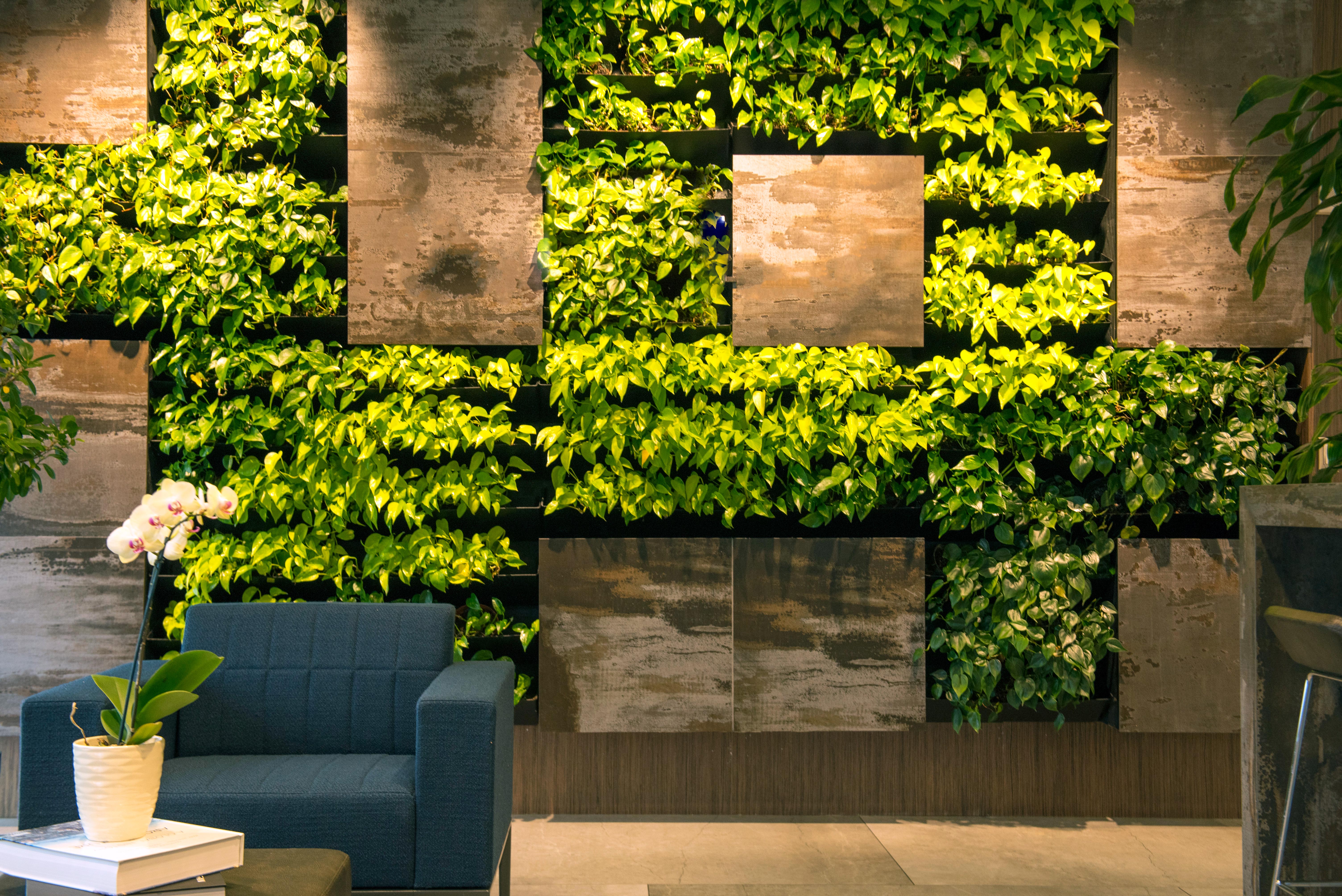 plant_peddler_Home
